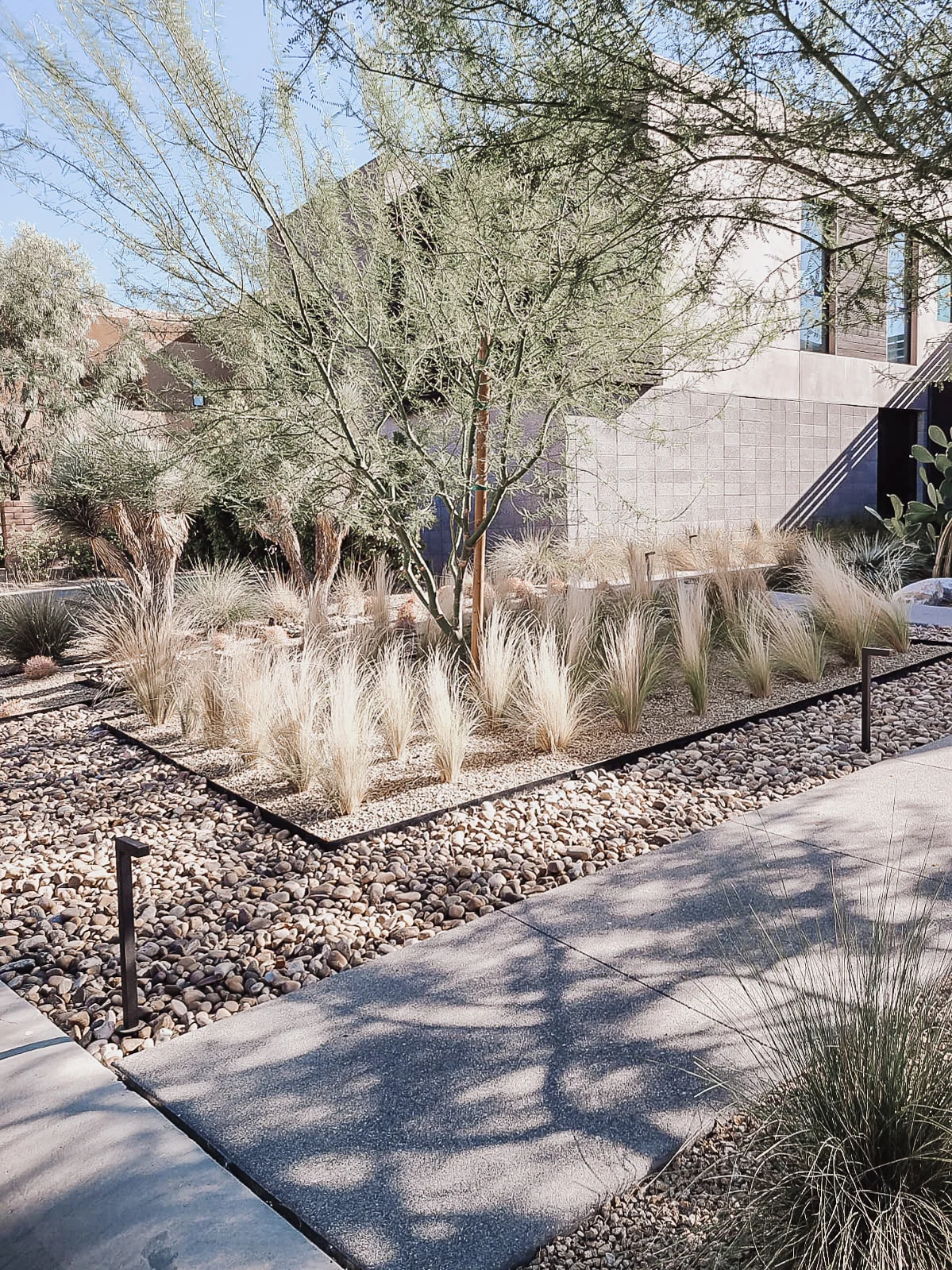 Desert landscape with ornamental grasses, trees, and river rock in contemporary front yard