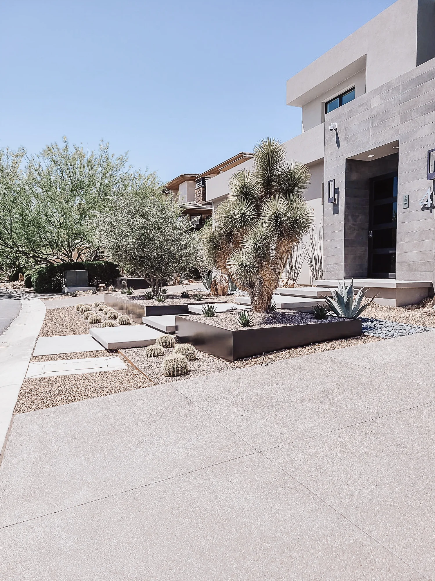 Modern desert front yard with Joshua tree, raised planters, cacti, and concrete pathways