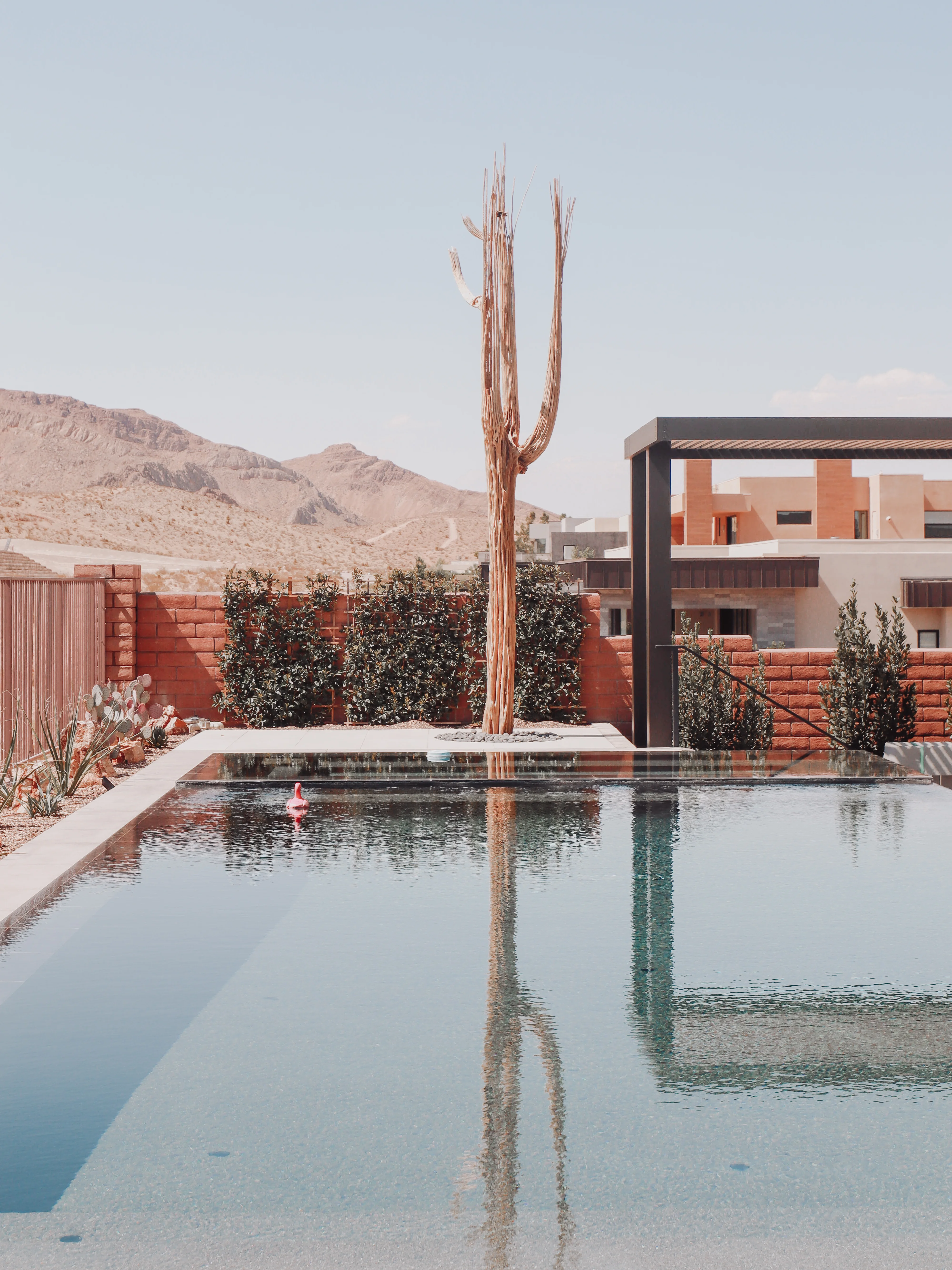 Modern desert pool with tall dried cactus sculpture, terracotta walls, and mountain backdrop